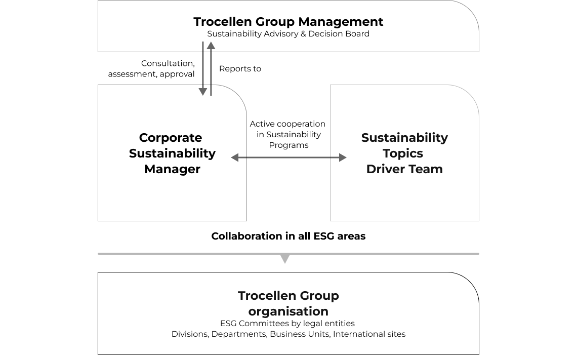 ESG Governance Structure 